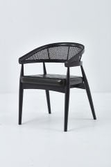 Balaz Sandalye SİYAH - YEŞİL